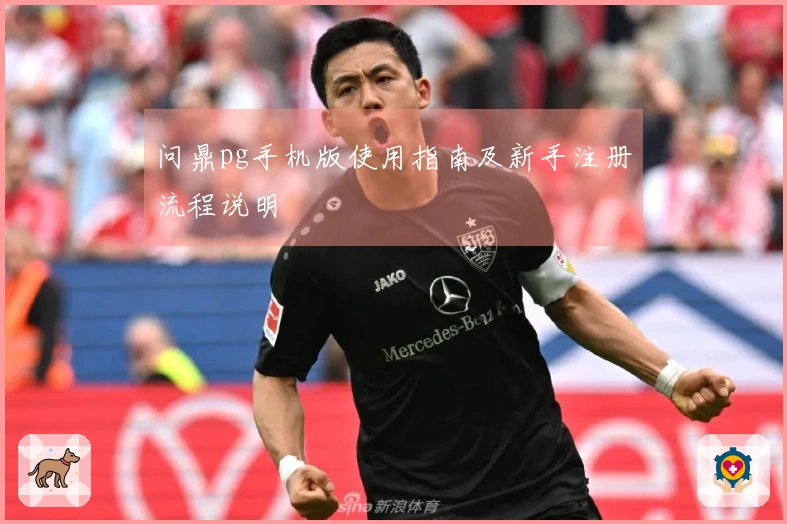 问鼎pg手机版使用指南及新手注册流程说明