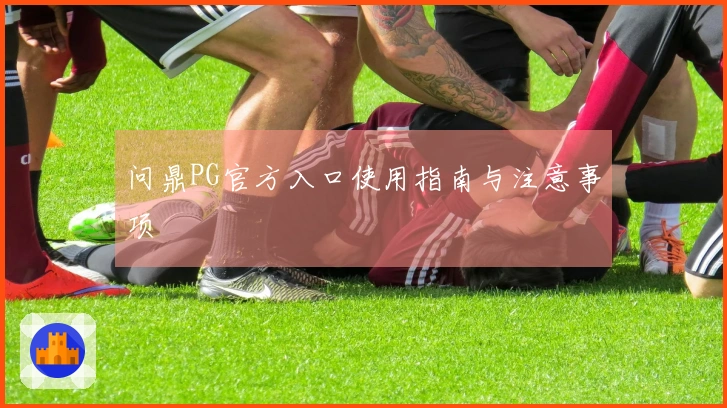 问鼎PG官方入口使用指南与注意事项