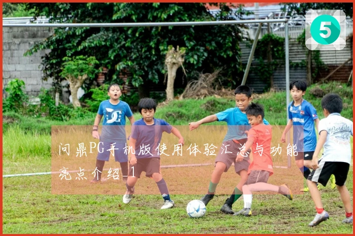 问鼎PG手机版使用体验汇总与功能亮点介绍_1